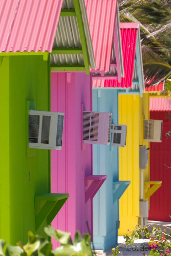 bright and cheery colours