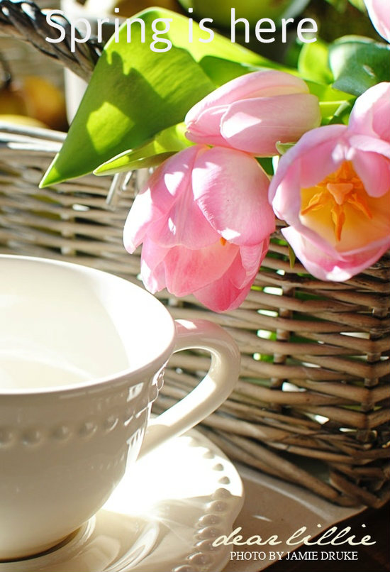 The Beauty of Spring