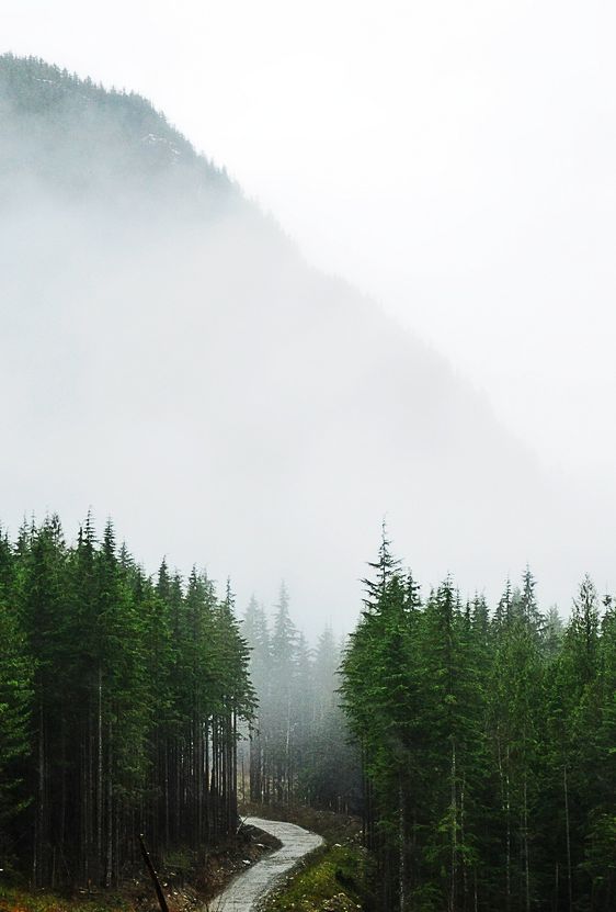 353e719e9e32f2ffc8003663ef152be4