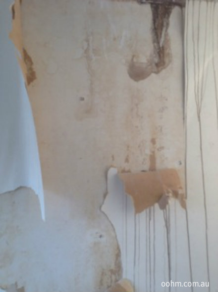 All The Plaster Was Water Damaged