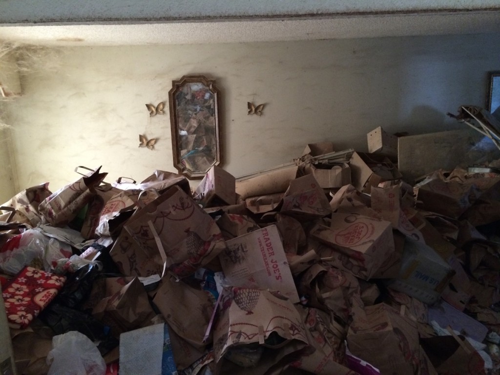 normal_1404090341-2014-01-04_15.08.17