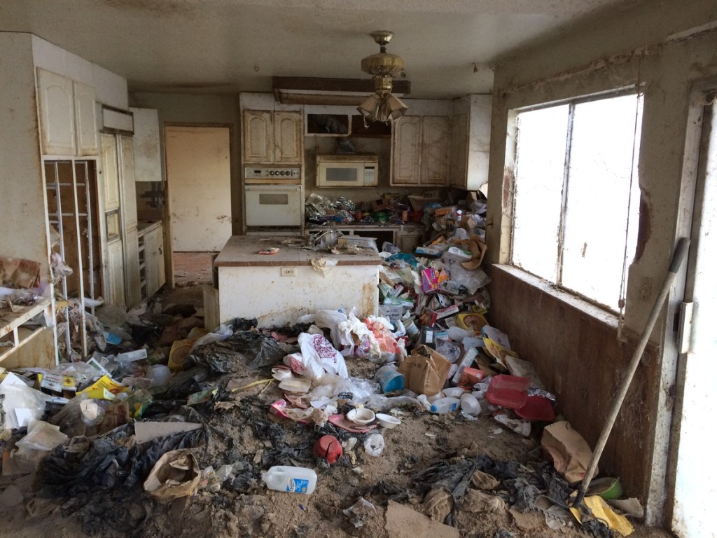 normal_1404091234-2014-01-10_15.46.30