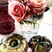 tanya Bianchi's house after