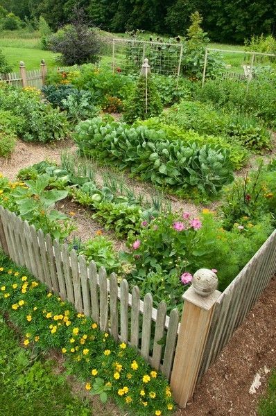 edible garden