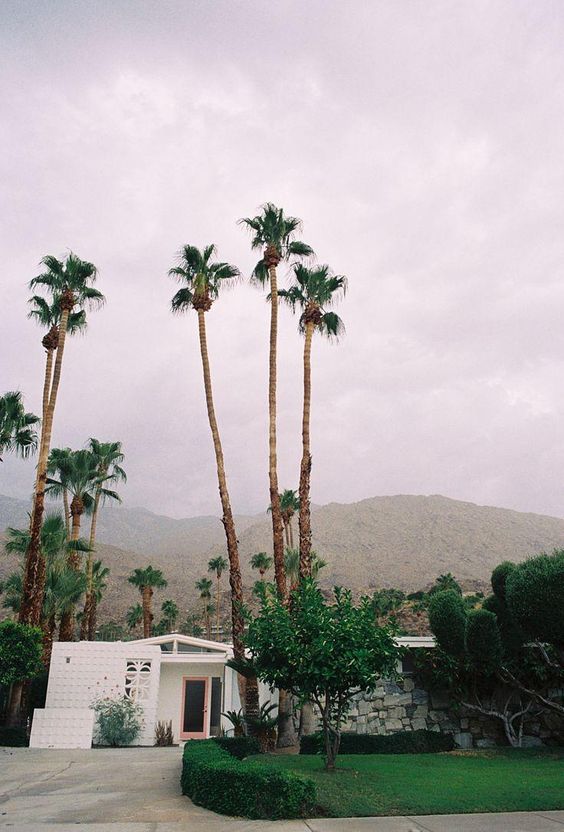 Palm Springs