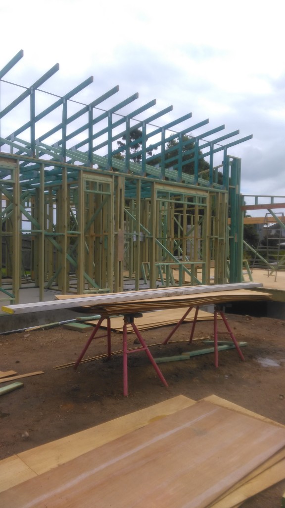 The back of the house