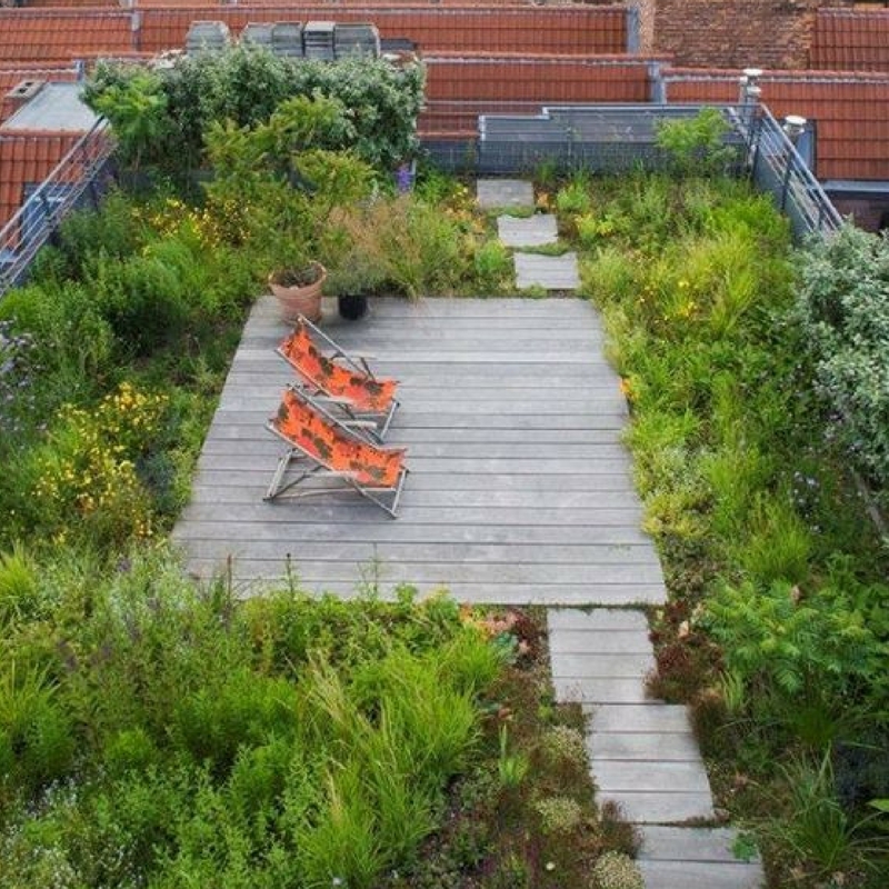 rooftop garden