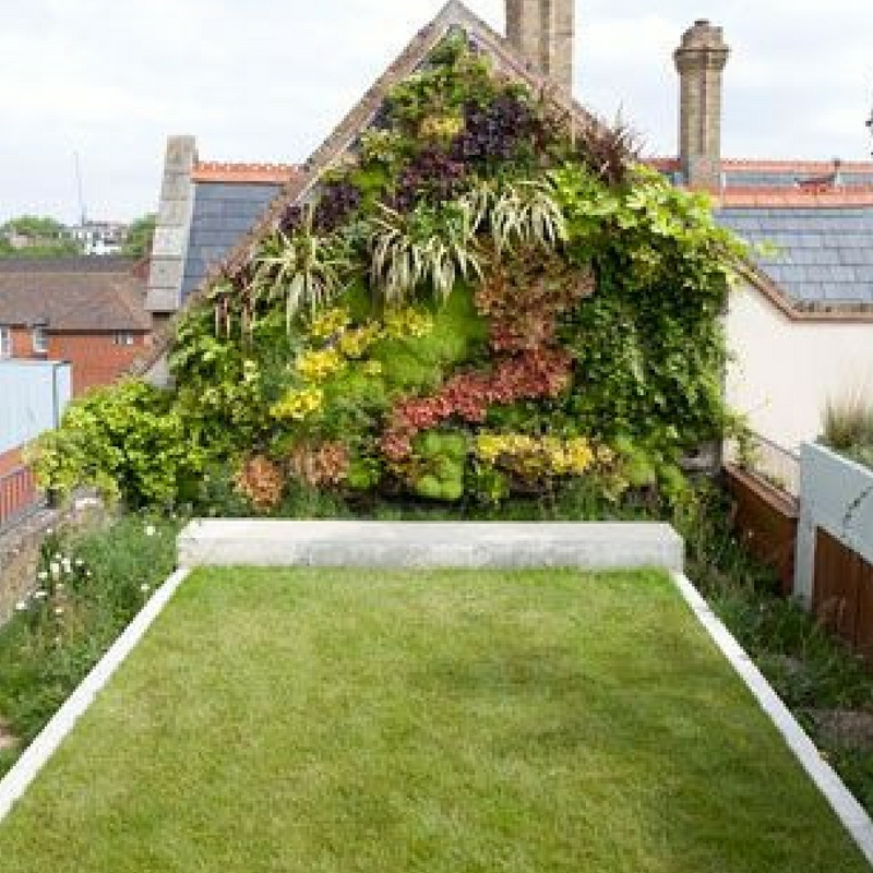 rooftop garden