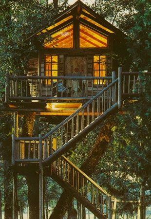 tree house