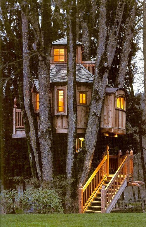 tree house