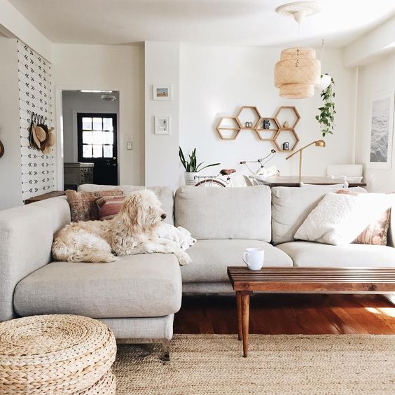 neutral living rooms